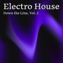 Electro House Down the Line, Vol. 2