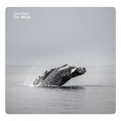 The Whale