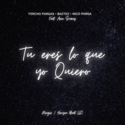 Tu Eres Lo Que Quiero (feat. Aron suarez & Wilson Ramirez)