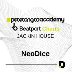 Pete Tong DJ Academy - Jackin House
