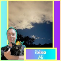 Mi