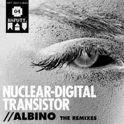 Albino The Remixes