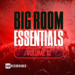 Big Room Essentials, Vol. 12