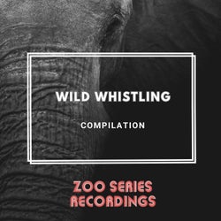 Wild Whistling