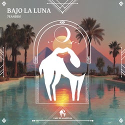 Bajo La Luna