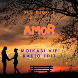 Amor (Moikabi VIP Radio Edit)