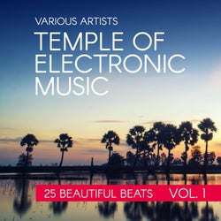Temple Of Electronic Music (25 Beautiful Beats), Vol. 1