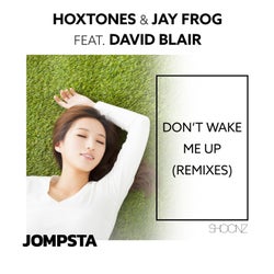 Don't Wake Me Up (Remixes)