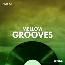 Mellow Grooves 014