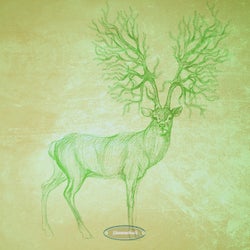 Interpolations