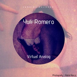 Virtual Analog