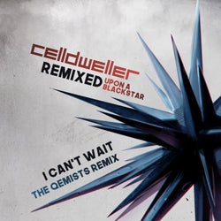 I Can't Wait - The Qemists Remix
