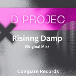 Risinng Damp