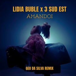 Amândoi (Geo Da Silva Remix Extended)