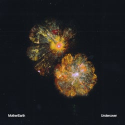 Undercover (Extended Mix)