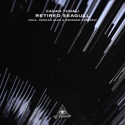 Retired Seagull (Incl. Serkan Eles & Emirgan Remixes)