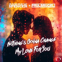 Nothing's Gonna Change My Love For You