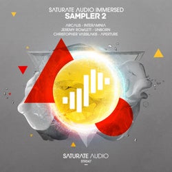 Saturate Audio Immersed Sampler 2