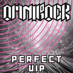 Perfect (VIP Mix)