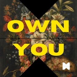Own You