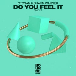 Do You Feel It (Extended Mix) feat. PT
