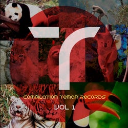 Compilation Teman Records Vol 1