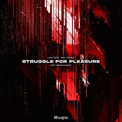 Struggle For Pleasure
