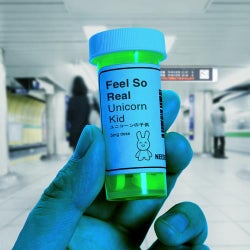 Unicorn Kid - Feel So Real