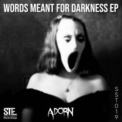 Words Meant For Darkness EP