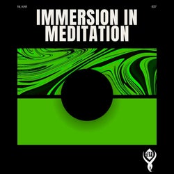 Immersion in Meditation
