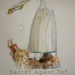 Secret Agent TnT