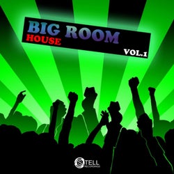 Big Room House, Vol. 1