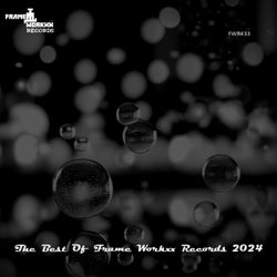 The Best Of Frame Workxx Records 2024