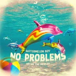 No Problems