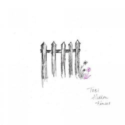 Hidden Fences (demo)
