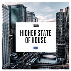 Higher State of House, Vol. 19