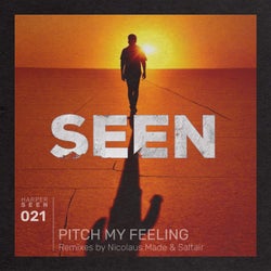 Pitch My Feeling