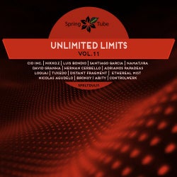 Unlimited Limits Vol.11