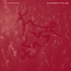 CROWDX001: Shared Pulse