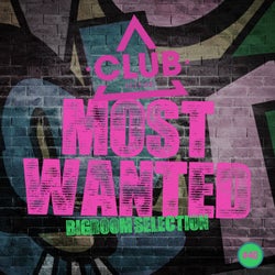 Most Wanted - Bigroom Selection Vol. 40
