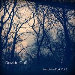 Morphine Park Vol 5
