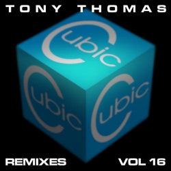 Tony Thomas Remixes Volume 16