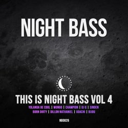 This is Night Bass Vol. 4