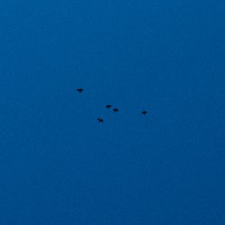 Blues (Slowed + Reverb)