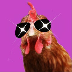 #10 disco chicken