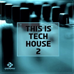 This Is Tech House 2