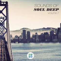 Sounds of Soul Deep, Vol. 7