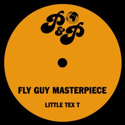 Fly Guy Masterpiece