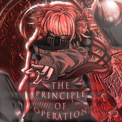THE PRINCIPLE OF OPERATION