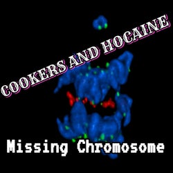Missing Chromosone